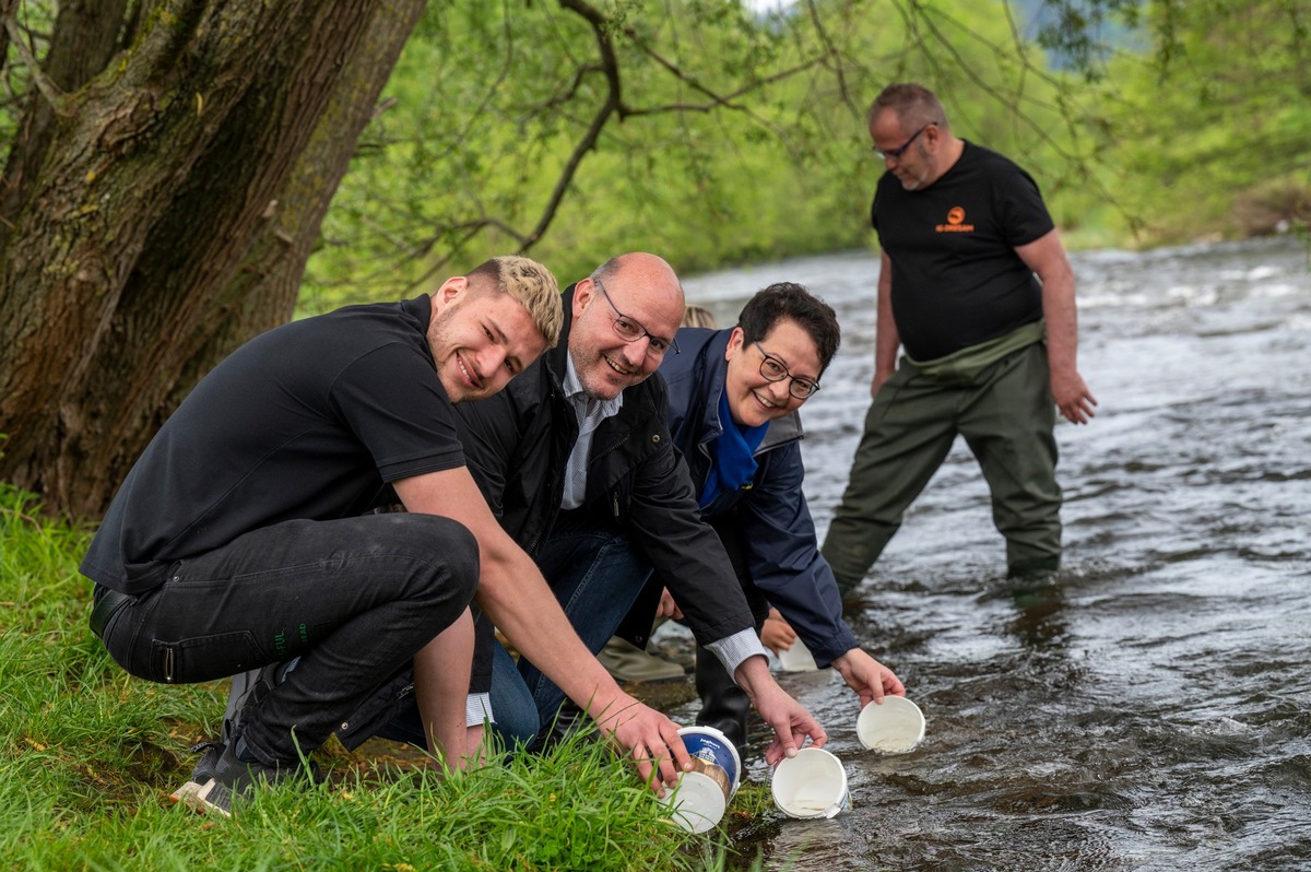 Presse-Information: 5.000 Junglachse werden in die Dreisam entlassen