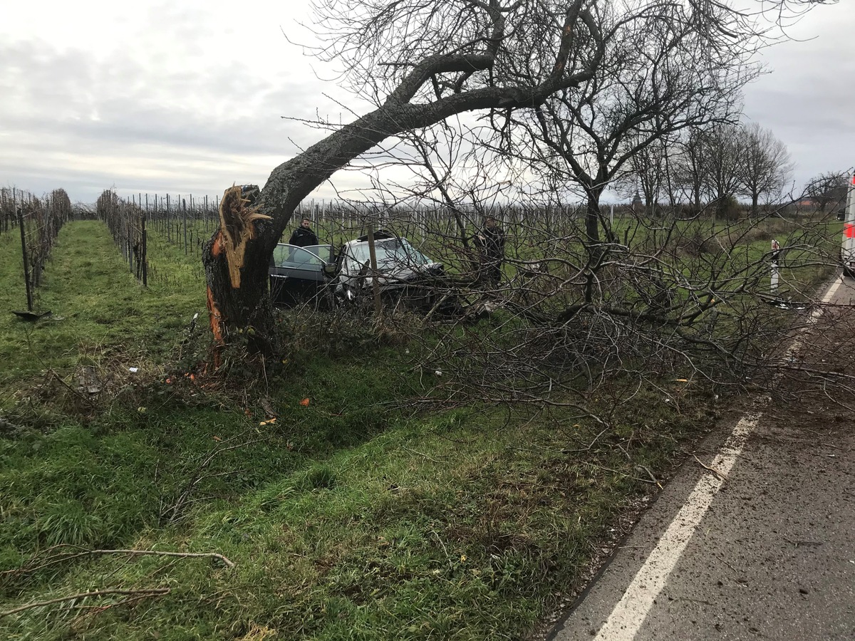 POL-PDLD: Burrweiler - Schwerer Verkehrsunfall