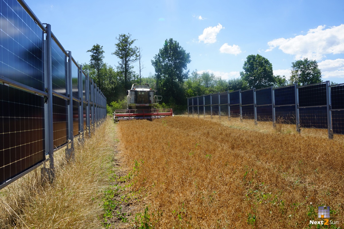 Gemeinsames Engagement für die Verbindung von Landwirtschaft &amp; Photovoltaik: Next2Sun und REM Tec gründen den Agri-Photovoltaik Bundesverband