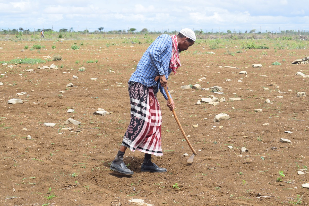 #InDenFokus: Hungersnot in Somalia