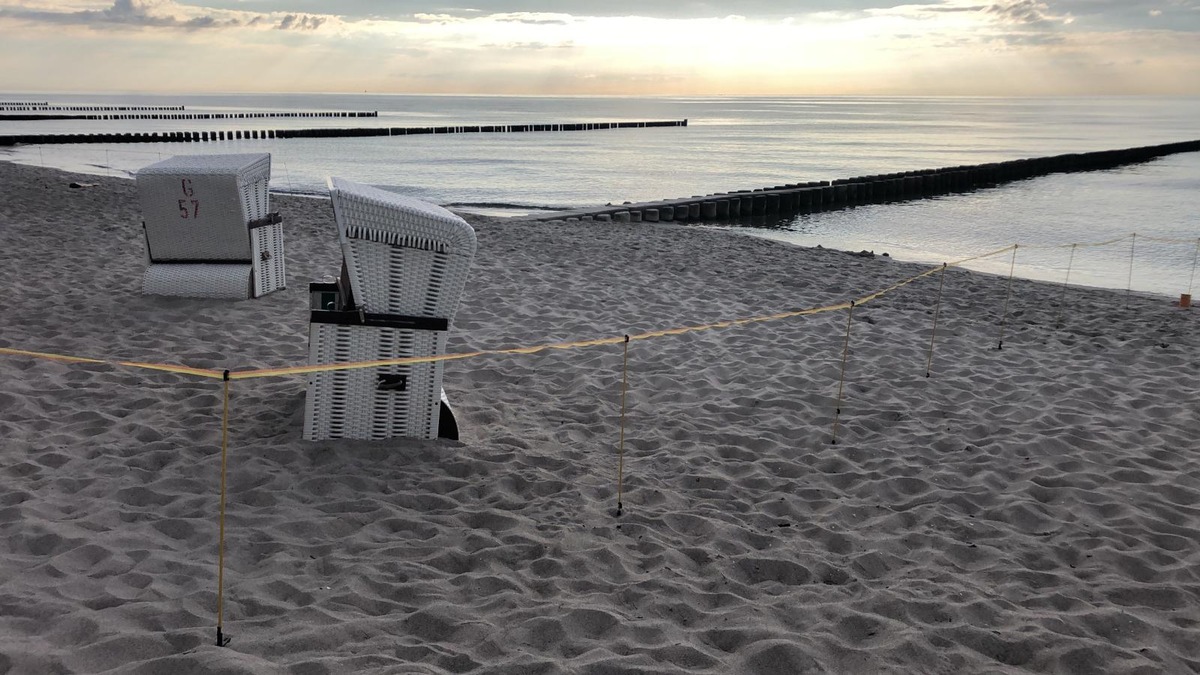 POL-HST: Polizeieinsatz nach Kegelrobbensichtung am Strand von Ahrenshoop