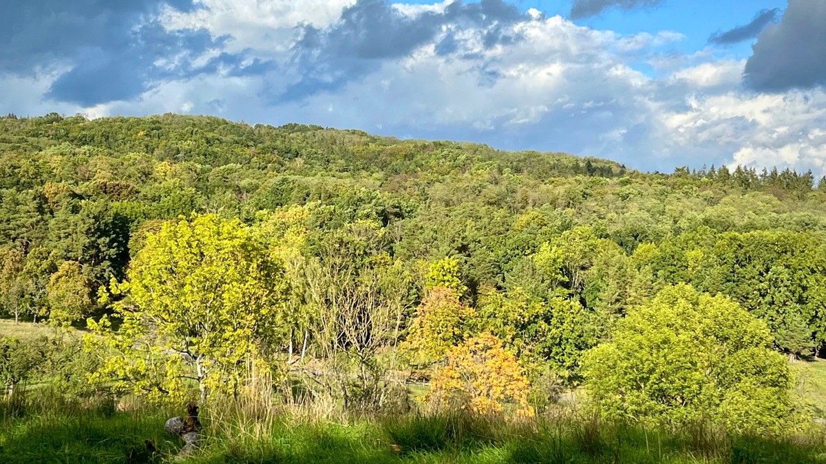 Natur- und Klimaschutz selbst gestalten