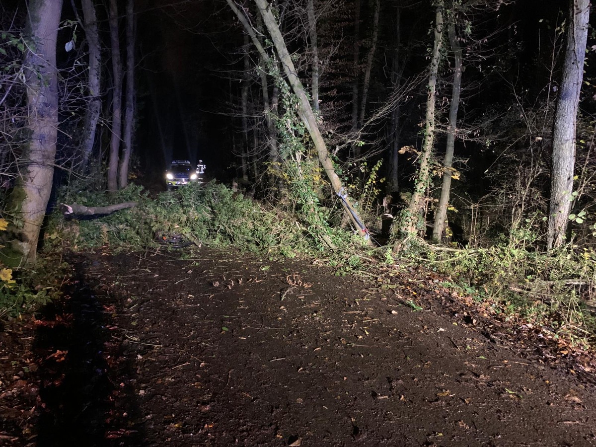 FW-HAAN: Zwölfjähriger unter Baum eingeklemmt