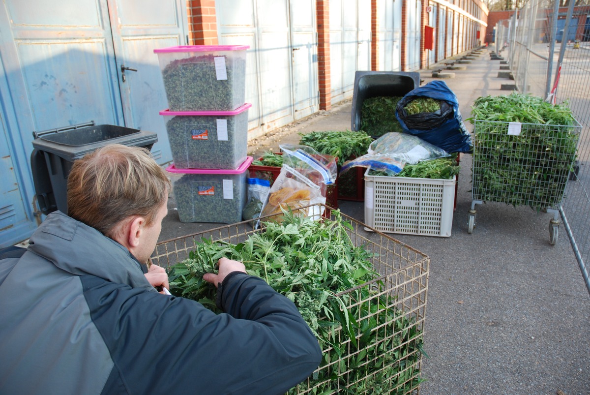 POL-H: Nach Fund einer Hanfplantage:	 Haftbefehle gegen zwei Beschuldigte