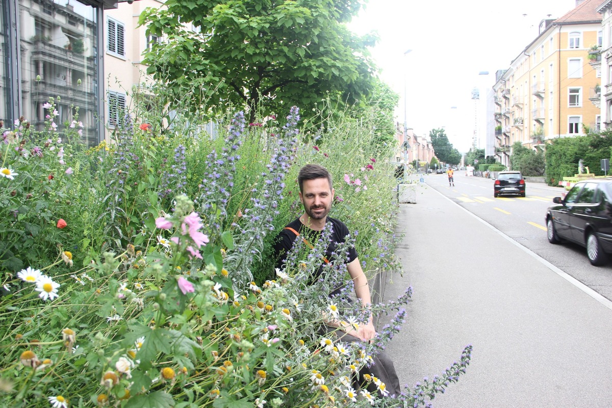 Er bringt blühende Wildbienen-Paradiese in die Stadt