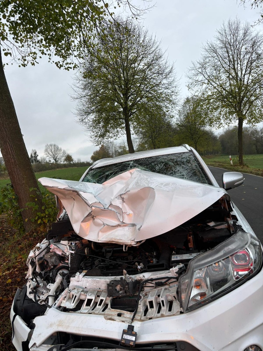 POL-NOM: Unfall mit einem Rind