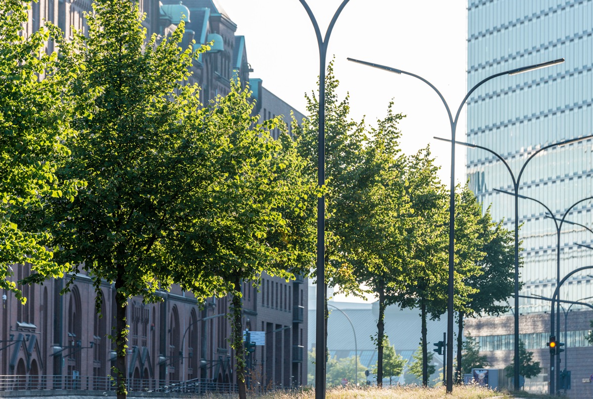 Sitzung des Klimakabinetts: Der Bund deutscher Baumschulen fordert die Aufpflanzung von Bäumen in Stadt und freier Natur