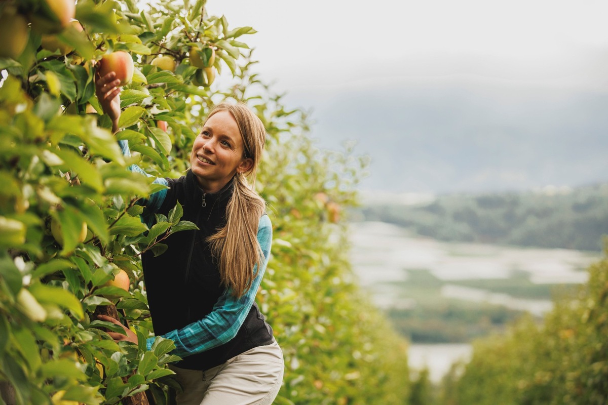 Im Herbst feiert das Trentino den Genuss