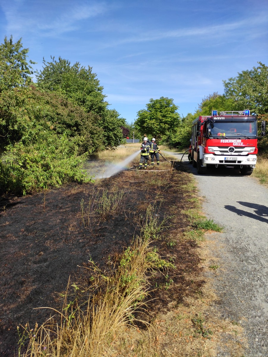 FW Celle: Flächenbrand in Altencelle