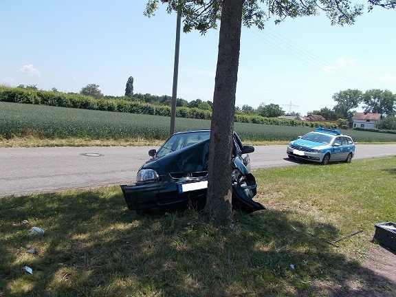 POL-PDLD: 04.06.2018, 13.30 Uhr
Alleine gegen einen Baum gefahren