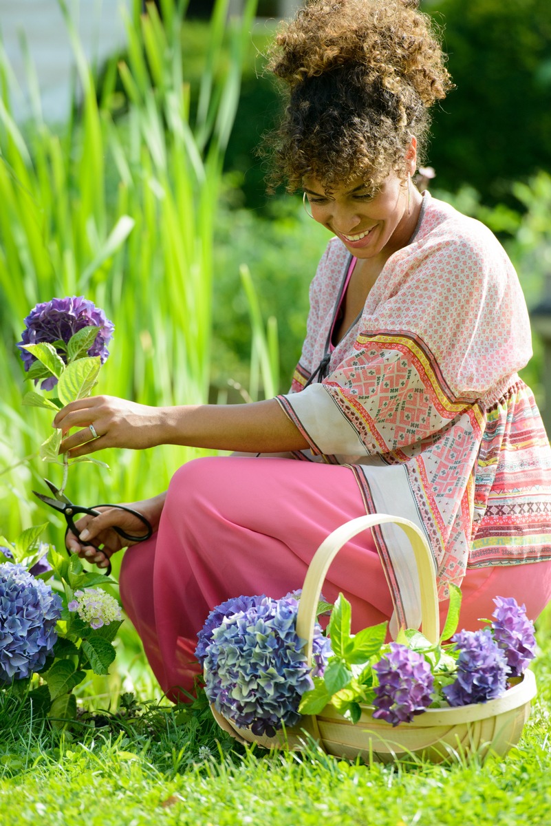 Spaß im Grünen mit der Hortensie / Prachtvolle Hortensienblüten aus dem eigenen Garten