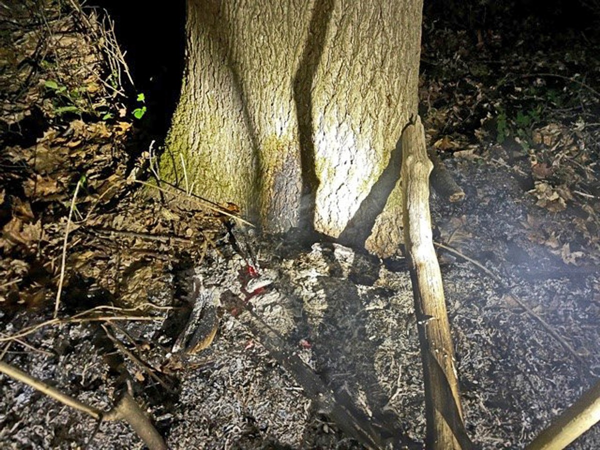 POL-ME: Wahrscheinliche Brandlegung in einem Waldstück - Erkrath - 2105062