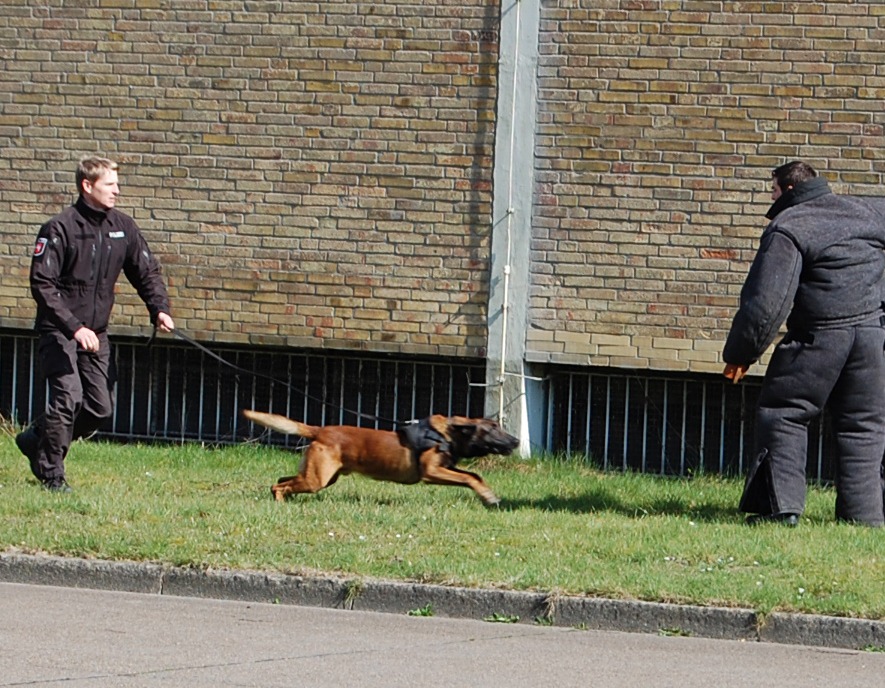 POL-CUX: Zukunftstag bei der Polizei in Cuxhaven begeisterte Mädchen und Jungen + Unfallzeugen für Kollision im Gegenverkehr gesucht