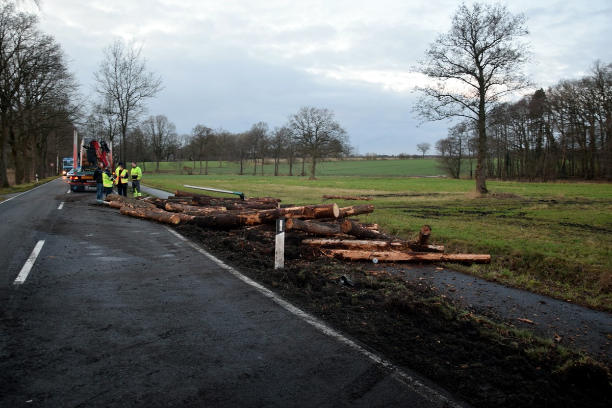 POL-WL: Holztransporter prallt gegen Straßenbaum und verliert Ladung