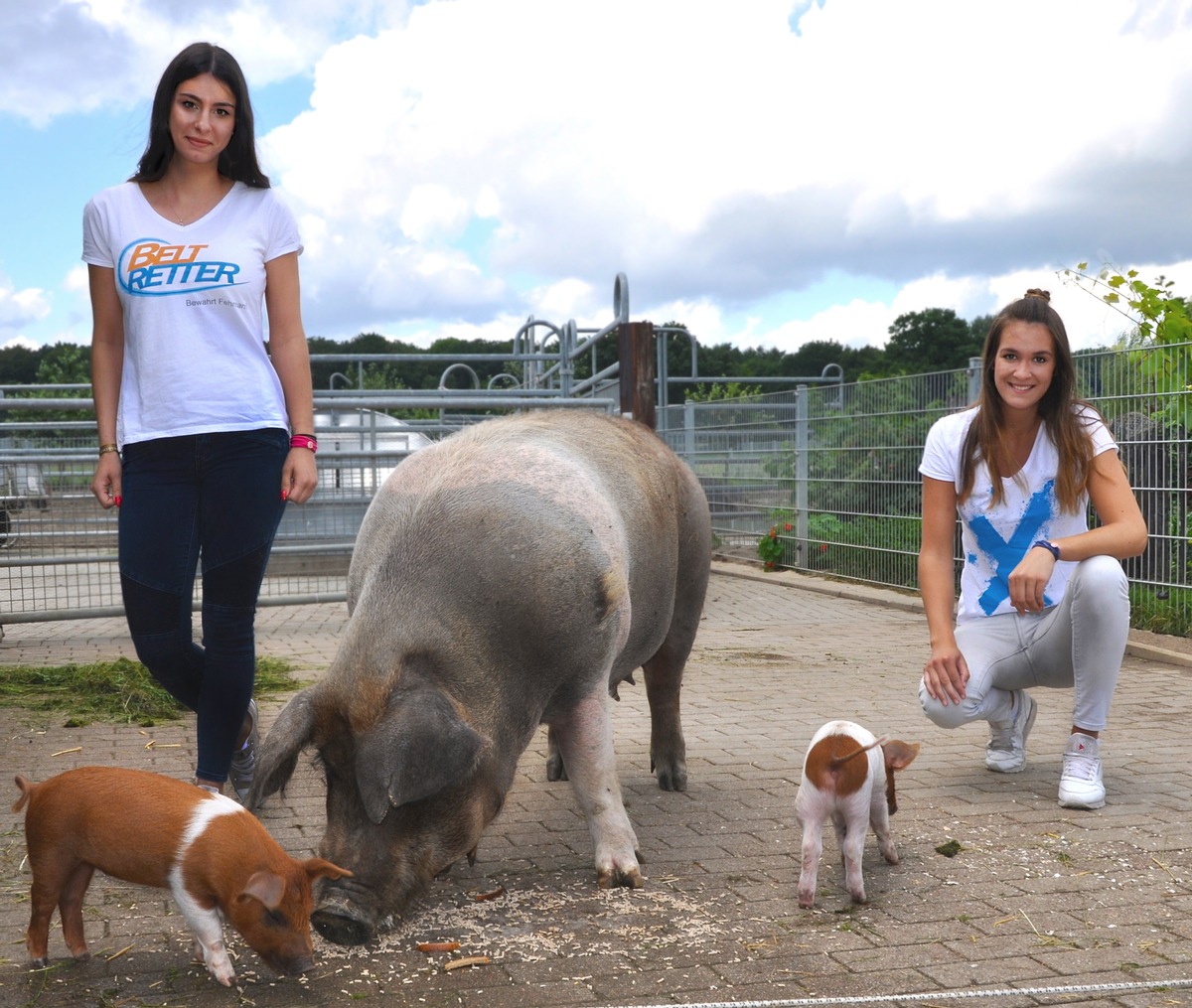 BELTRETTER fördern &quot;Dänische Protestschweine&quot;