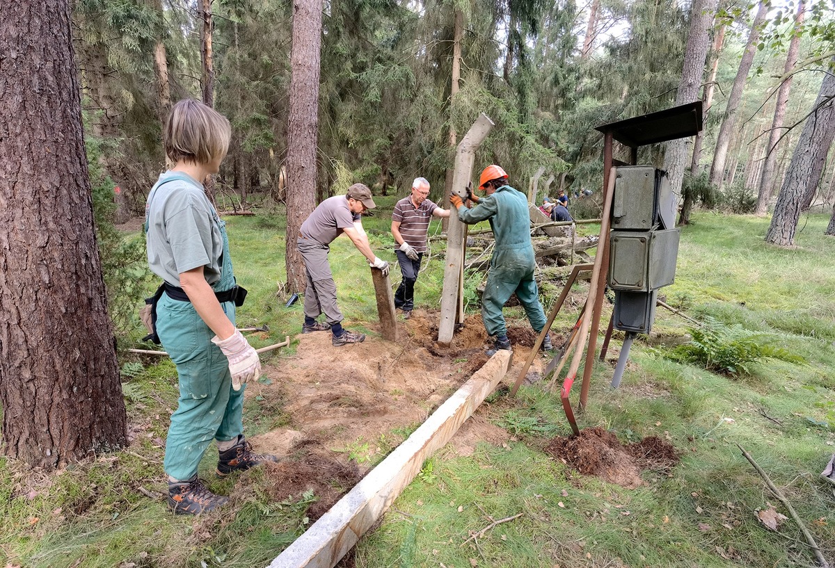 Rückbau statt Landschaftsverbrauch: Fast 80 Freiwillige wandeln mit dem Bergwaldprojekt Nutzflächen in Naturraum in der Nossentiner / Schwinzer Heide