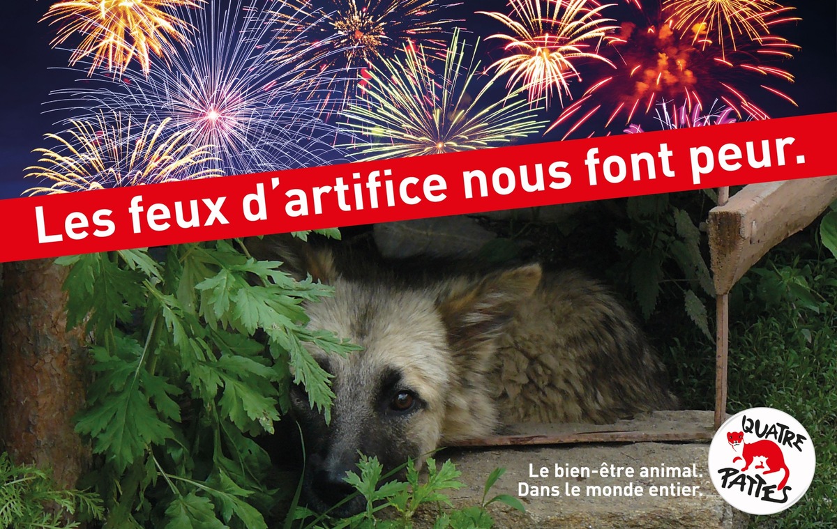 Le 1er août n’est pas jour de fête pour les animaux