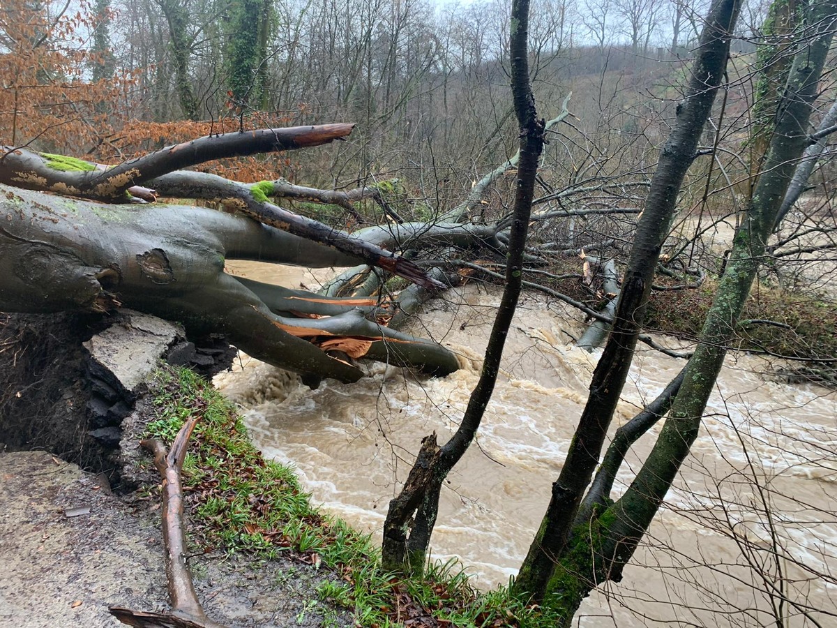 FW Ratingen: Feuerwehr Ratingen - Sturmbedingte Einsätze