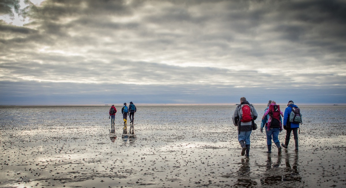 Einmal durchpusten, bitte! Winterausklang auf der Nordseeinsel Föhr