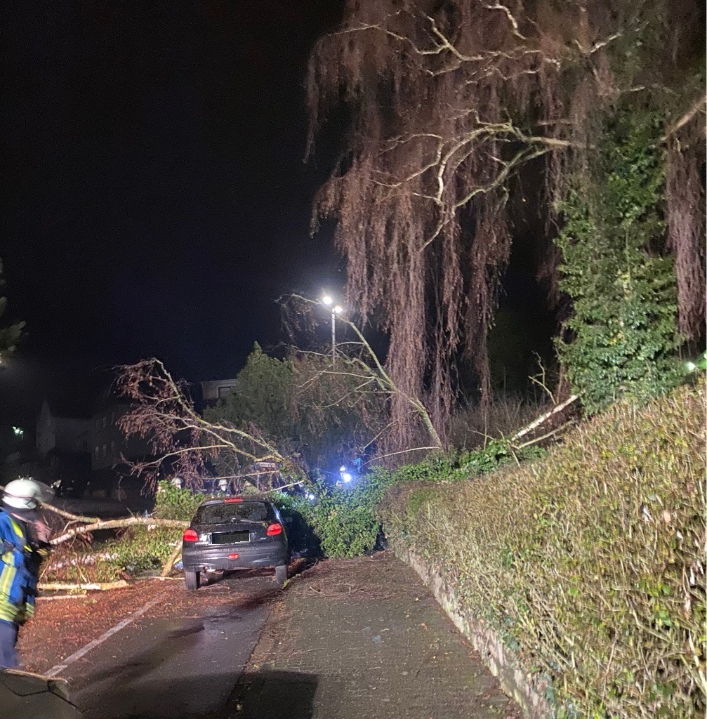 POL-PDKO: Baum fällt auf parkenden PKW