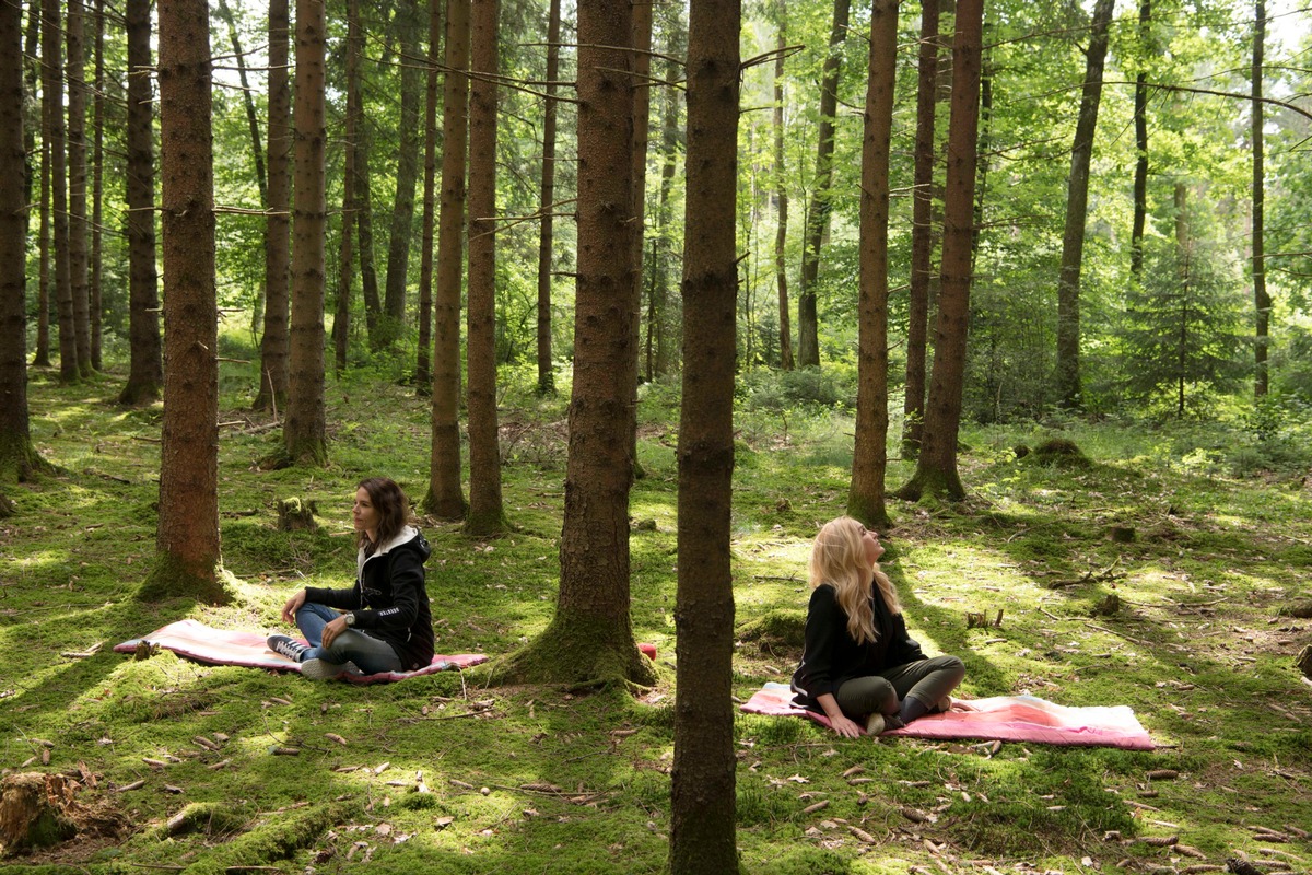 Bleiben Sie gesund - Im-Wald-Sein stärkt das Immunsystem / Wie können wir Anzahl und Aktivität unserer natürlichen Killerzellen steigern, die unter anderem Virusinfektionen wie Covid-19 bekämpfen?