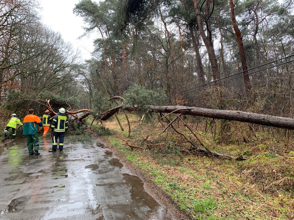 FW-Schermbeck: Baum auf Fahrbahn