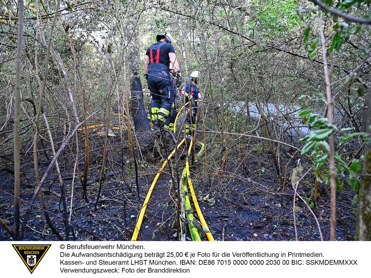 FW-M: 1000 Quadratmeter Wald in Brand (Fasanerie)