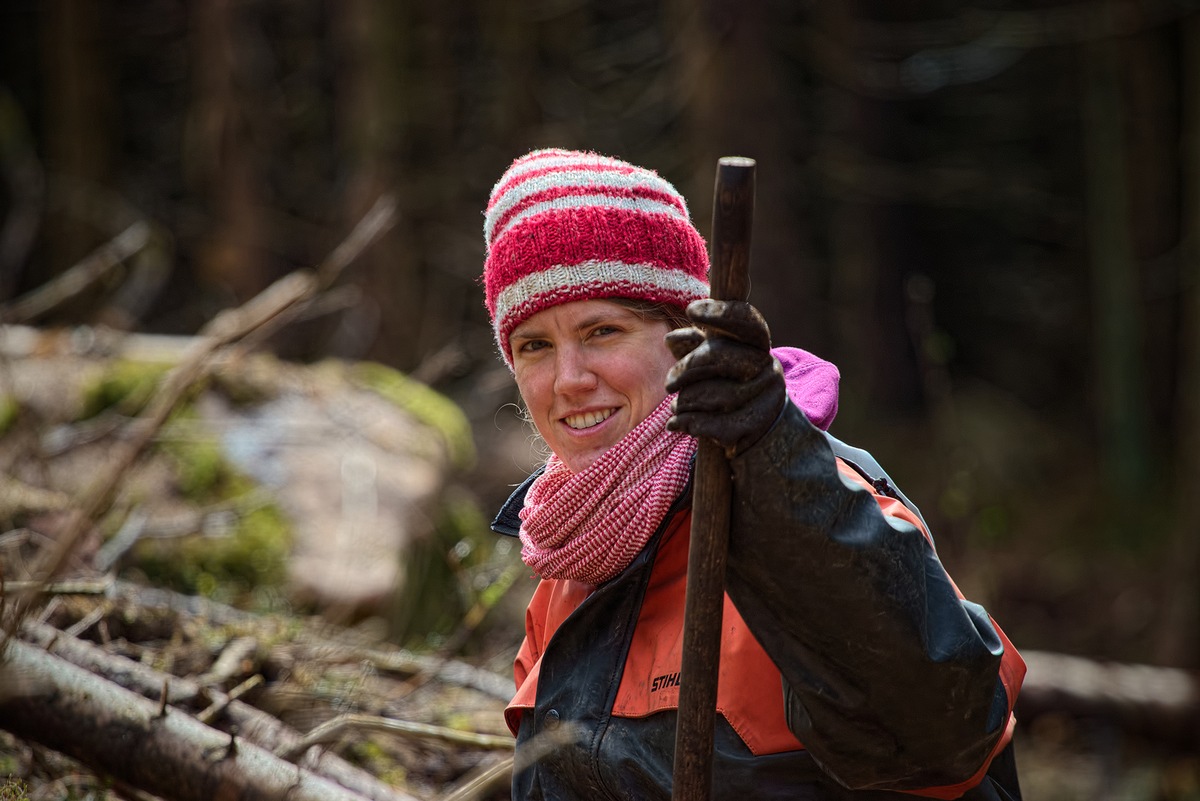 PRESSEMITTEILUNG: Bergwaldprojekt e.V. pflanzt mit hunderten Freiwilligen über 37.000 Bäume zur Förderung einer naturnahen Waldentwicklung im April in Braunlage / Harz