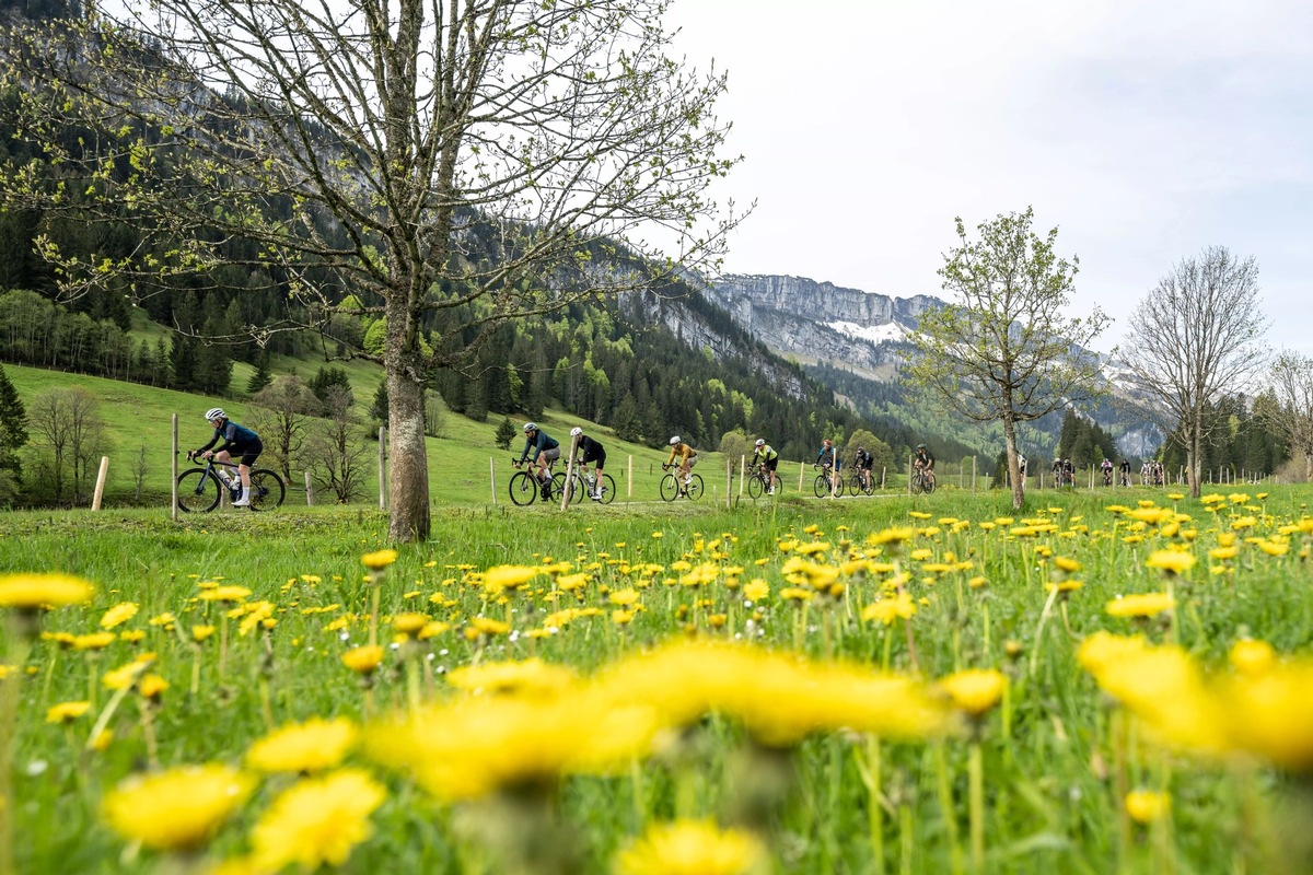 Umweltfreundlicher Urlaub im Allgäu wird belohnt Ferientipp für Pfingsten und darüber hinaus.