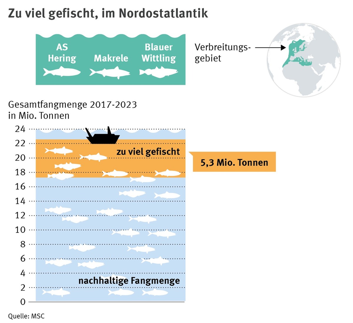 Neue Daten offenbaren starken Rückgang der Herings- und Makrelenbestände im Nordostatlantik