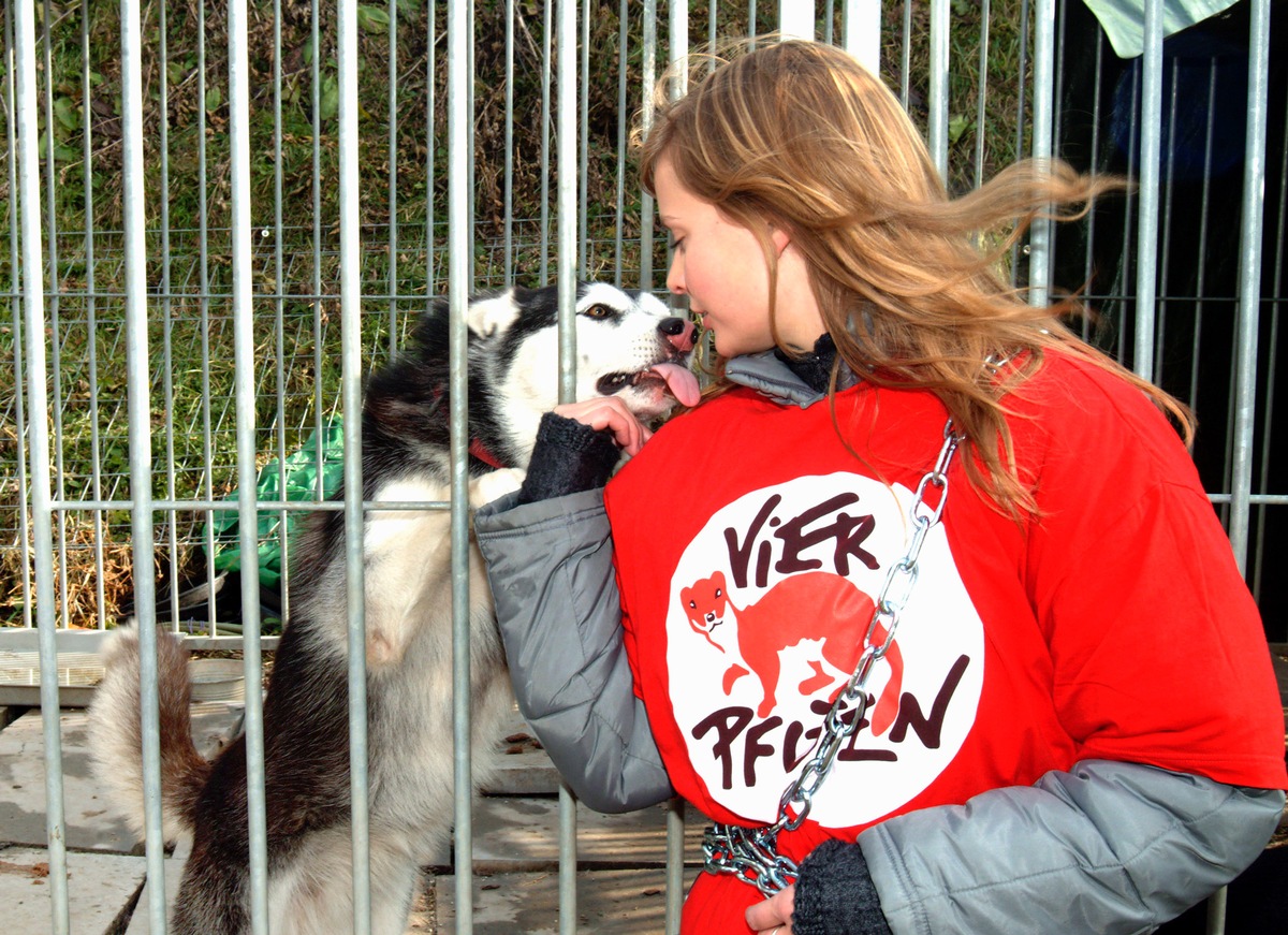 VIER PFOTEN fordert besseres Tierschutzgesetz: Tierschutzfall in Flüeli LU gelöst