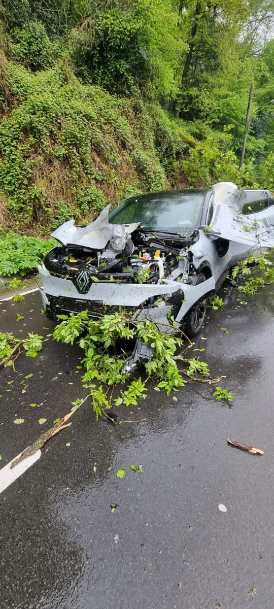 FW-EN: Wetter - Baum auf Fahrbahn und Ölspur