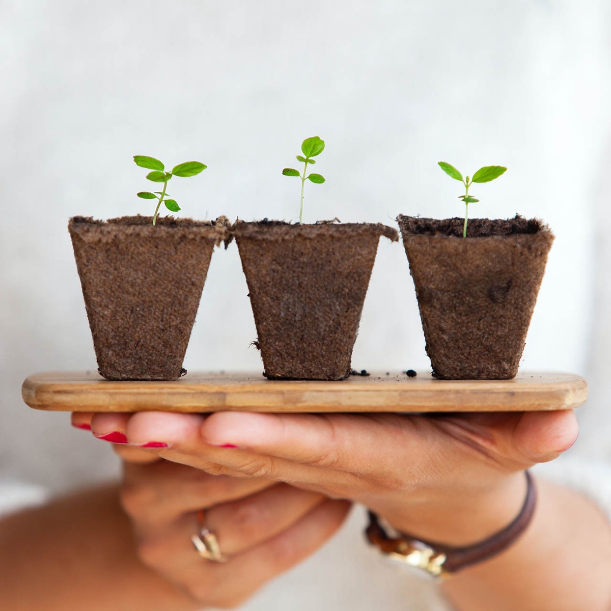 Endlich wieder reisen - und sogar mit einem guten Gewissen! / HOTELS FOR TREES macht Reisende zu Klimarettern / Verzicht, der Gutes bewirkt