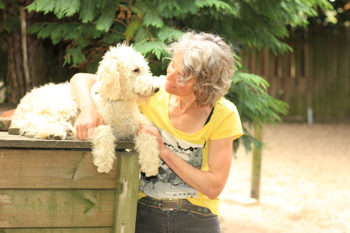 Hilfe bei der Hitzewelle - so müssen sich Hundebesitzer jetzt verhalten