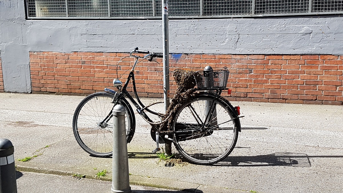 POL-HL: HL-Innenstadt / Falschparker