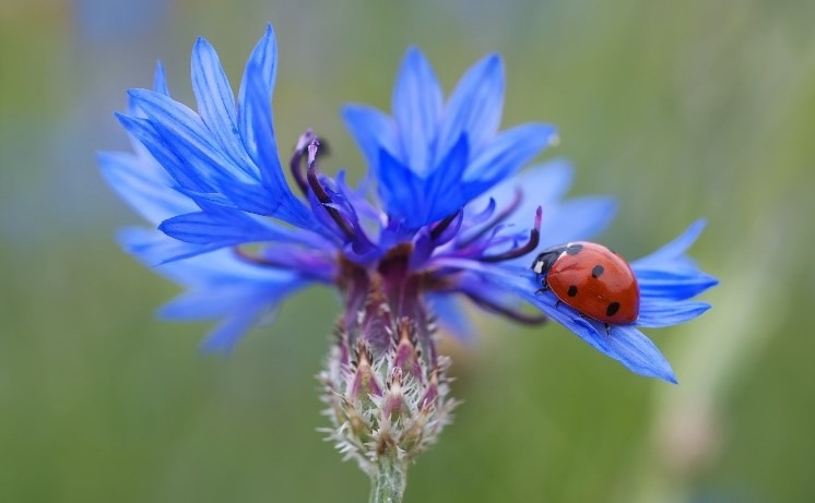 Netzwerken bei der nationalen Fachkonferenz „Biodiversität im Lebensmittelsektor“