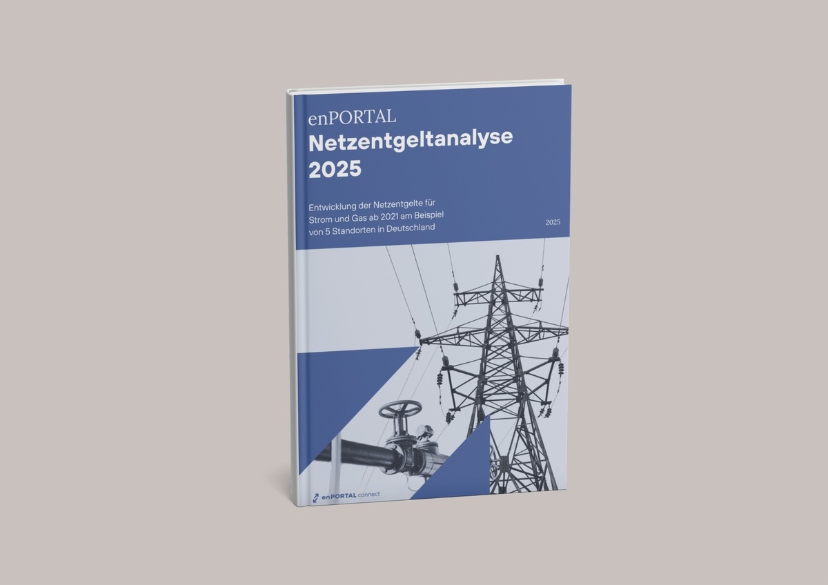 enPORTAL Netzentgeltanalyse 2025 zeigt Kostenveränderungen für Strom und Gas