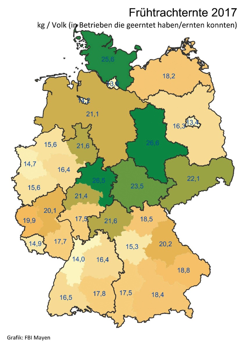 Deutscher Imkerbund erwartet zufriedenstellendes Honigerntejahr