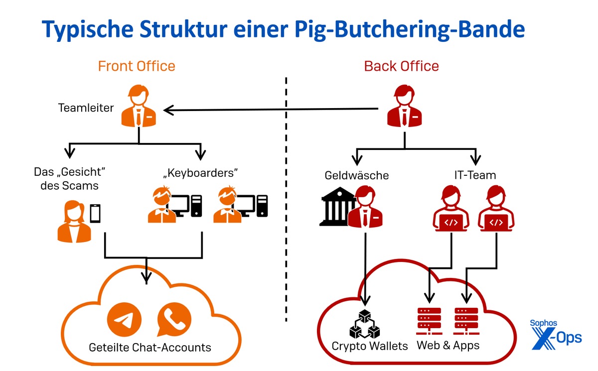 Betrugsmaschen immer raffinierter: Noch nie war es so einfach, Opfer eines Kryptowährungsbetrugs zu werden