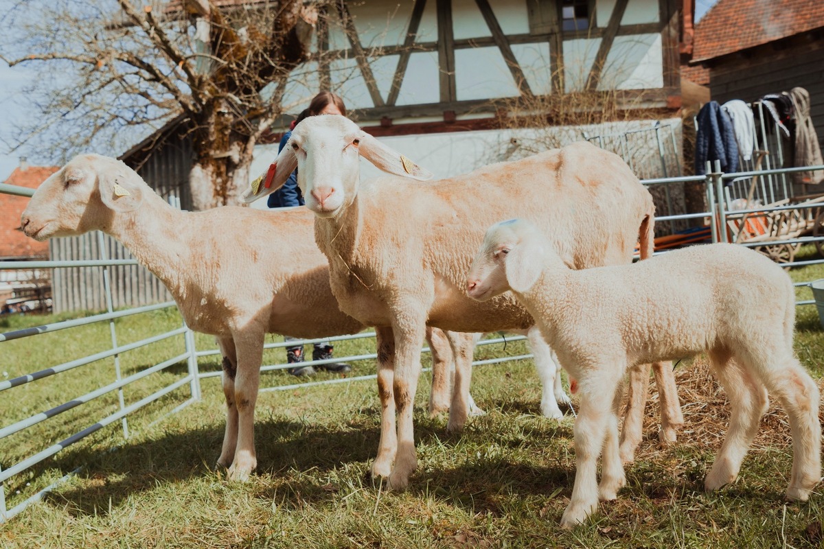 Ostern im Allgäu: Ferientipps für die ganze Familie.