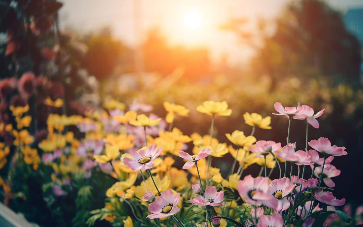 Gartenarbeit sorgt für heftige Streits zwischen Mietern und Vermietern