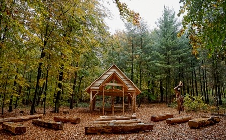 Ein FriedWald für Kamenz