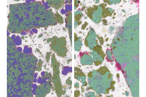 Hereon PM - Mikrometerfeine Körnchen, mit Polymeren umhüllt