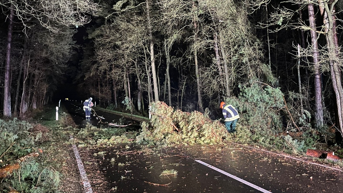 FW Celle: Stürmisches Wetter beschäftigt weiter die Celler Feuerwehr!