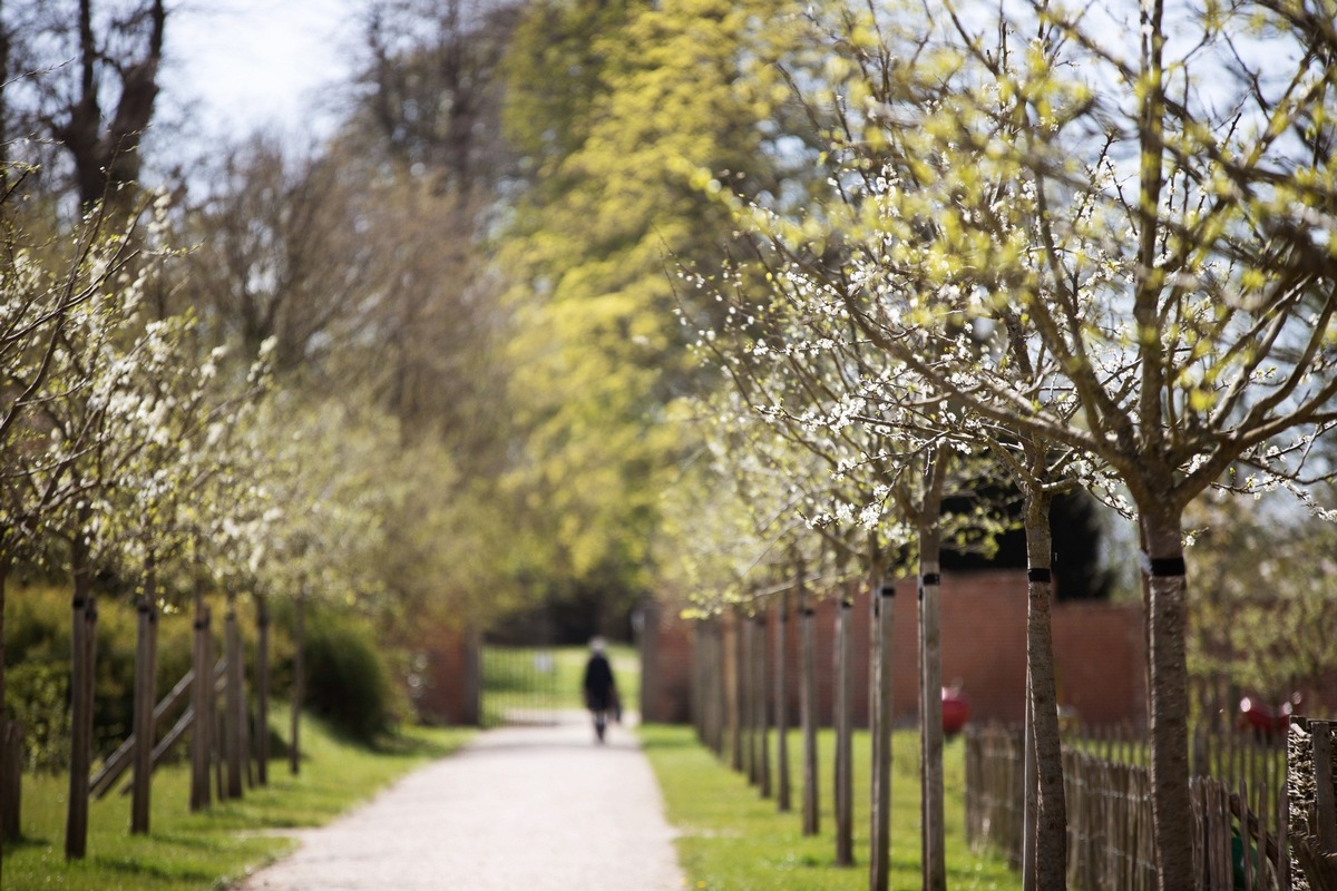 Frühlingserwachen in Schleswig-Holstein