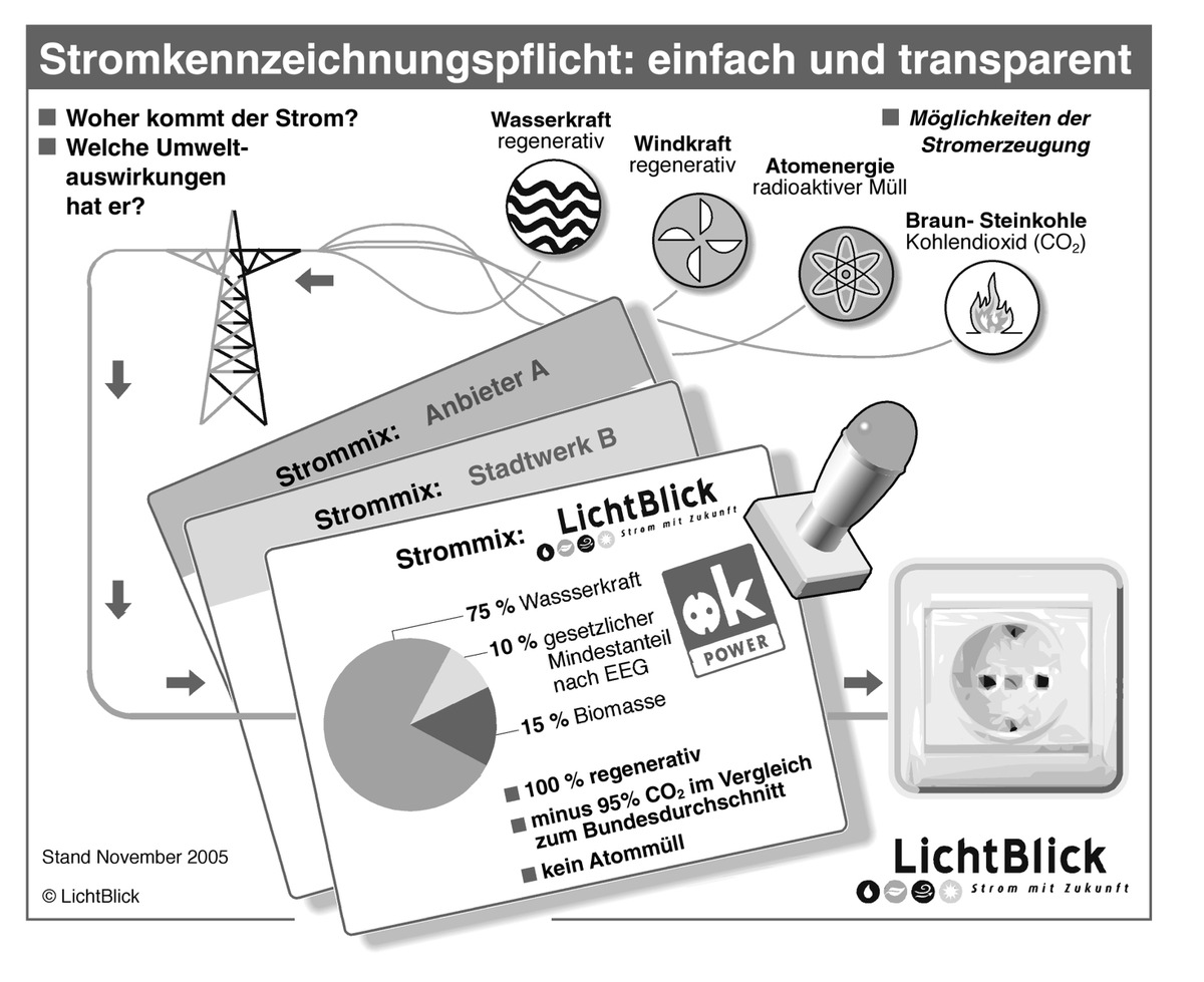 Stromkennzeichnung: LichtBlick setzt Maßstäbe bei der Umsetzung