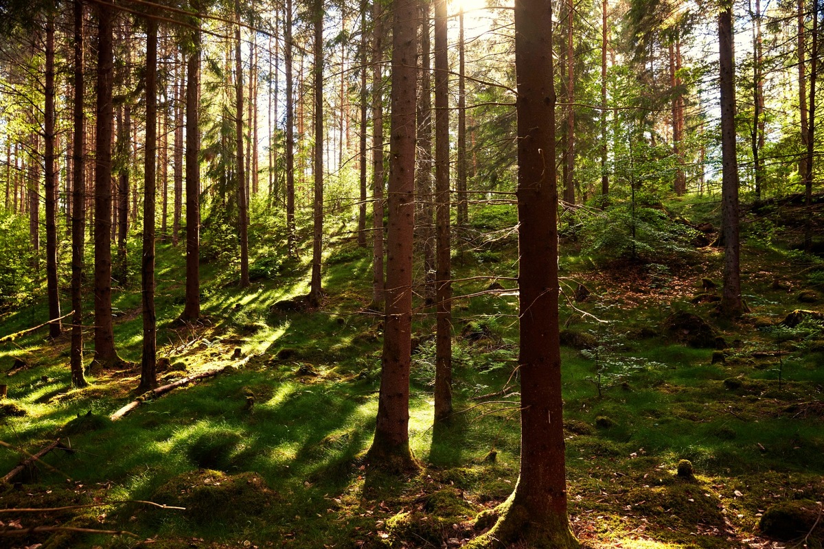 Earth Day 2023: IKEA unterstützt Menschen dabei, nachhaltiger zu leben