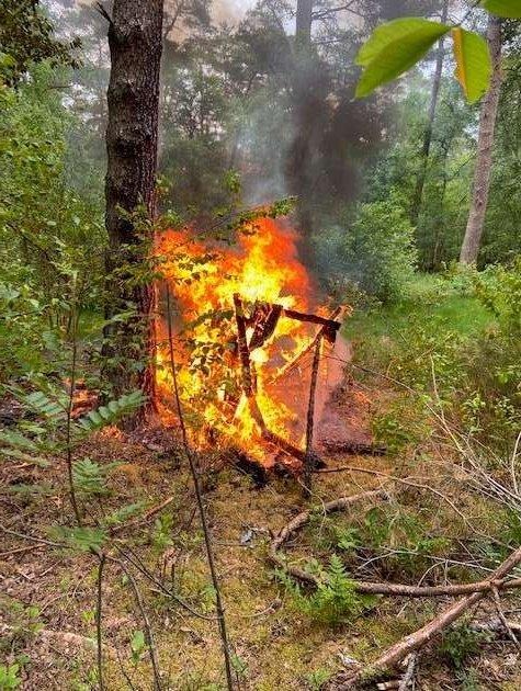 POL-NI: Brand eines Freisitzes, Polizei sucht Zeugen