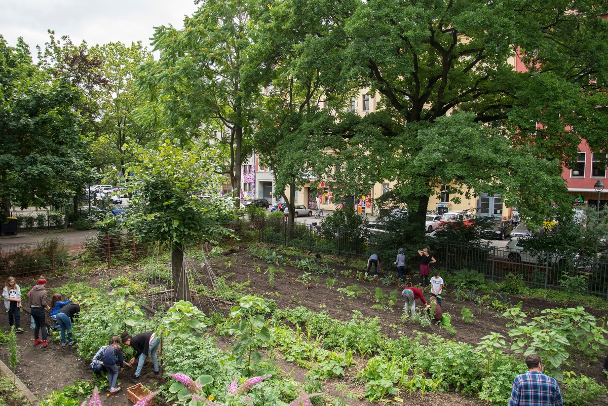 DBU fördert: Grünes Klassenzimmer - Schulgärten neu gedacht