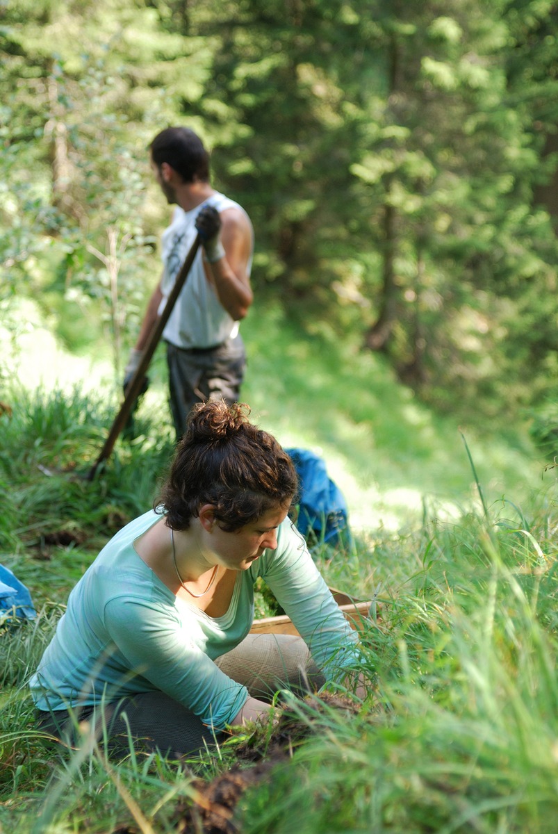 PRESSEMITTEILUNG: Freiwillige mit dem Bergwaldprojekt e.V. im Einsatz für einen stabilen und naturnahen Schutzwald im Landkreis Garmisch-Partenkirchen